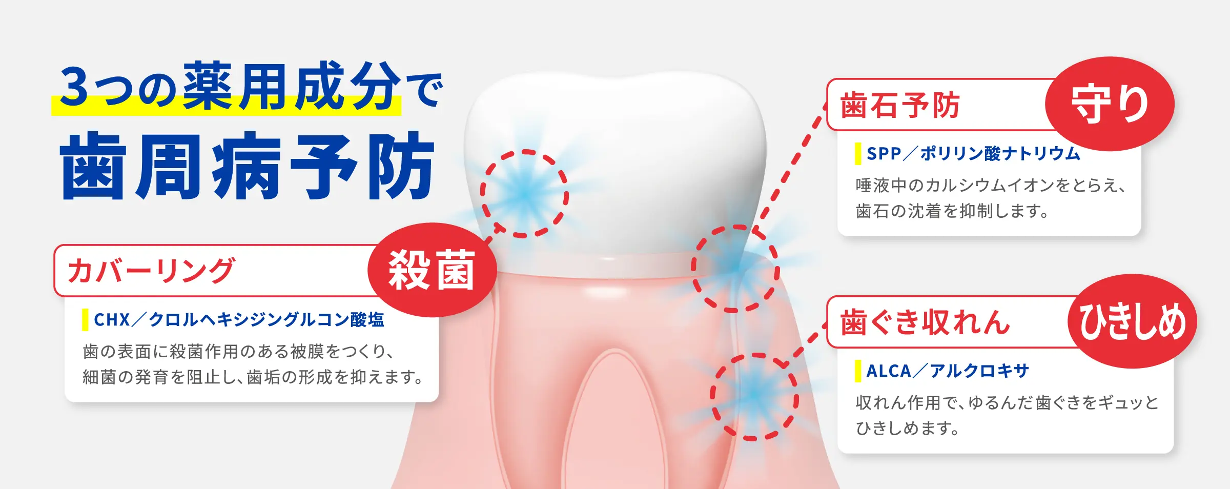3つの薬用成分で歯周病予防 カバーリング 歯石予防 歯ぐき収れん