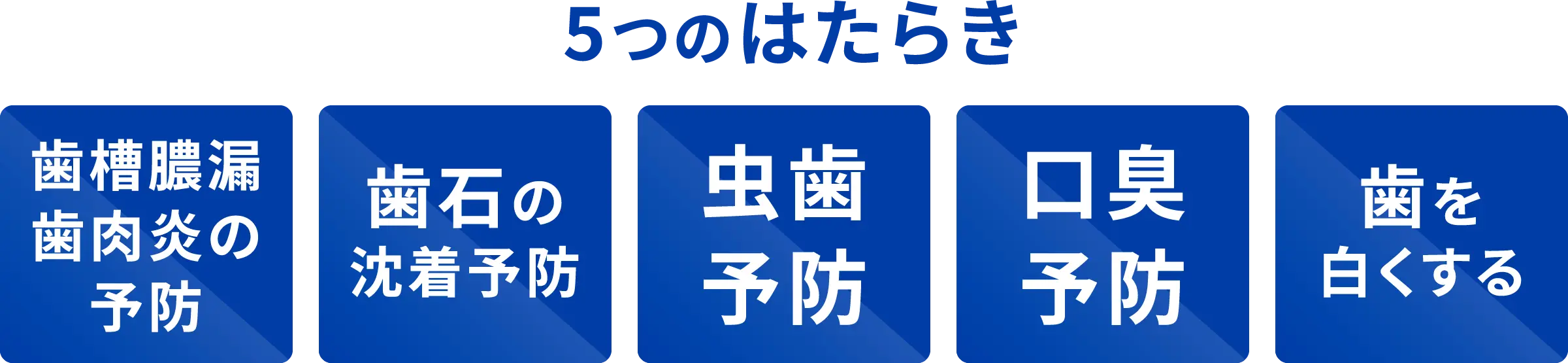 5つのはたらき 歯槽膿漏歯肉炎の予防 歯石の沈着予防 虫歯予防 口臭予防 歯を白くする